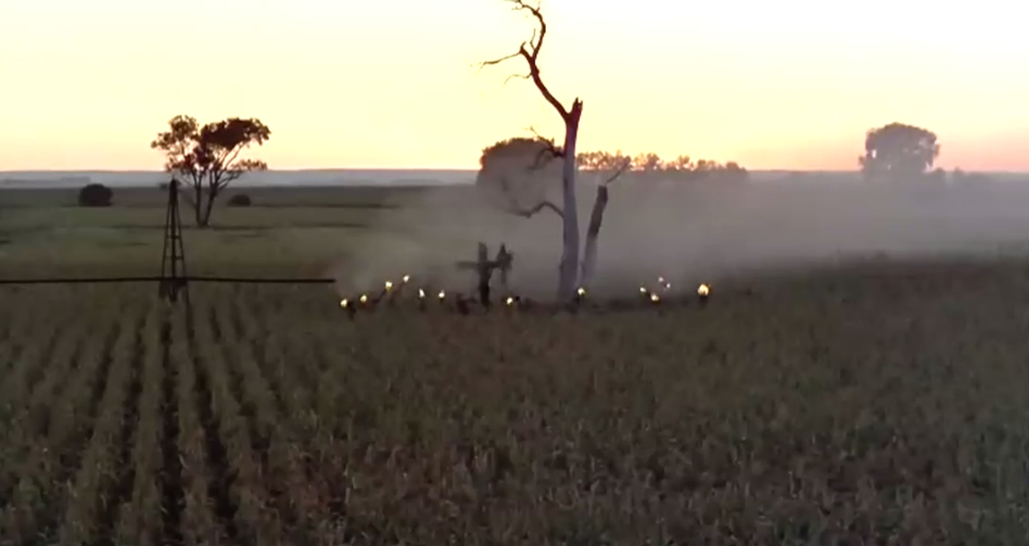 玉米田的小孩剧照的剧照