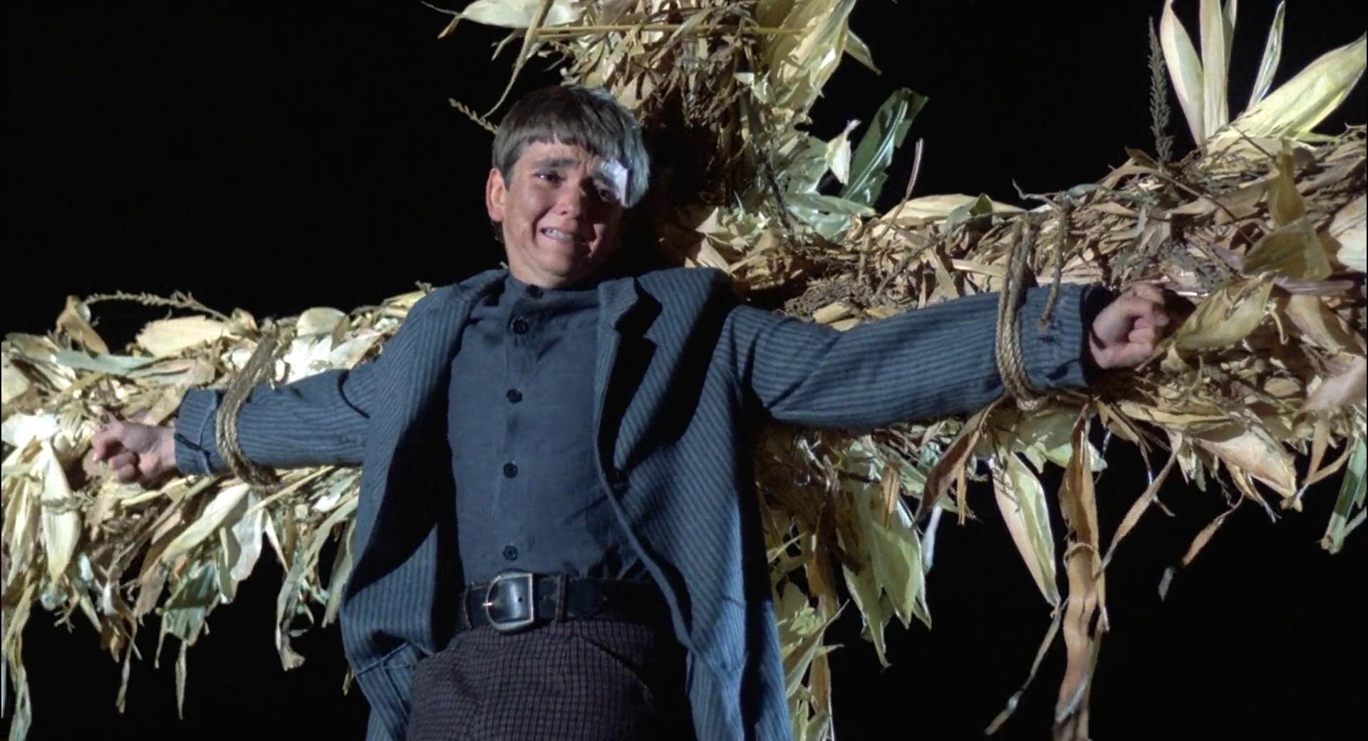 玉米田的小孩剧照的剧照