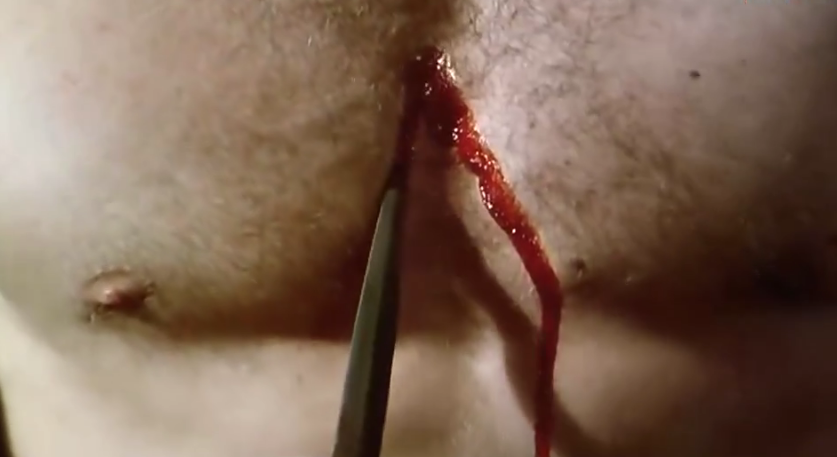 玉米田的小孩剧照的剧照