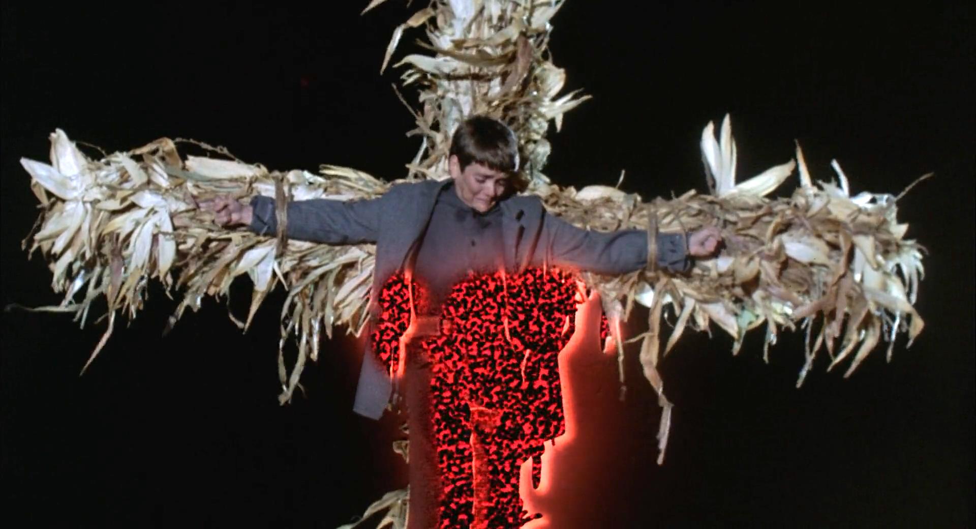 玉米田的小孩剧照的剧照