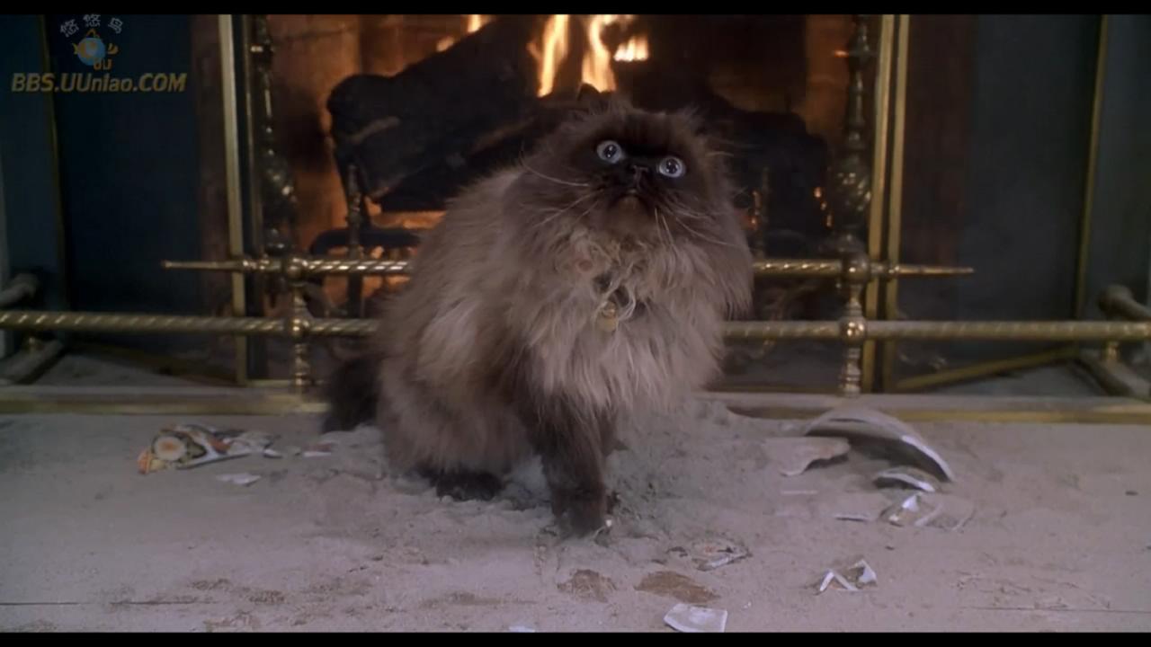 拜见岳父大人剧照的剧照