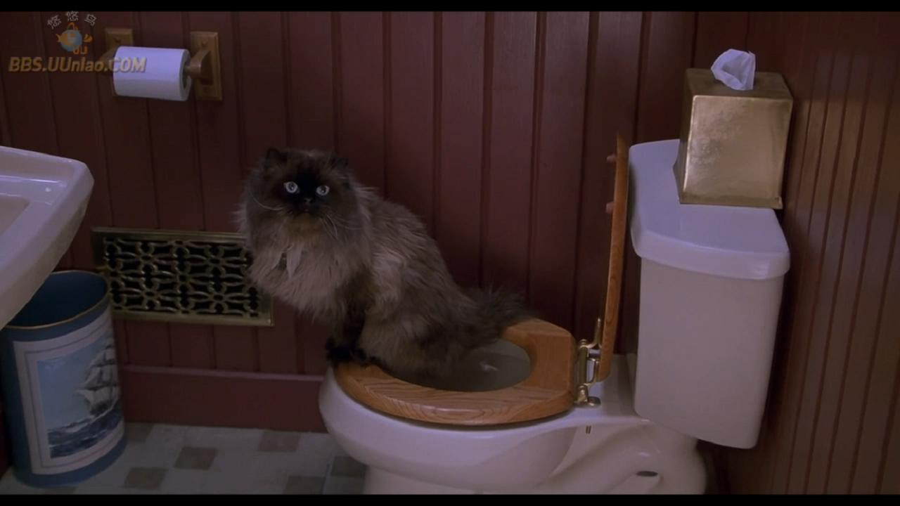 拜见岳父大人剧照的剧照