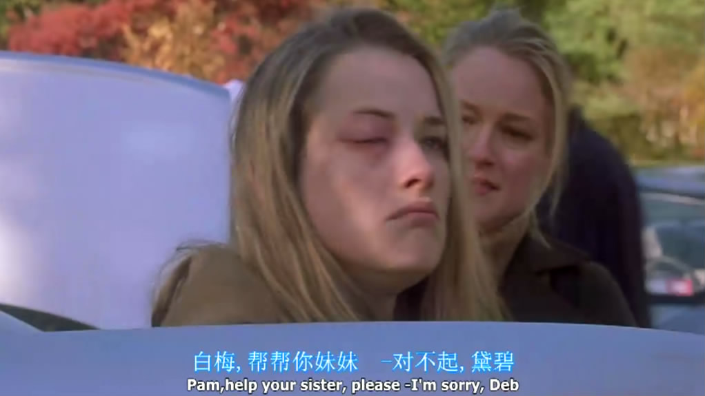 拜见岳父大人剧照的剧照