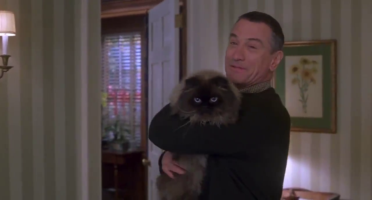 拜见岳父大人剧照的剧照