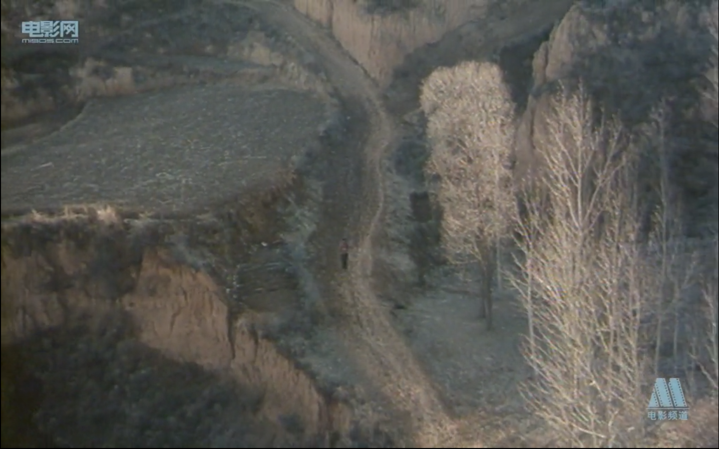 血色清晨剧照的剧照