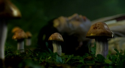 猛男诞生记剧照的剧照