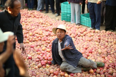 李保国剧照的剧照
