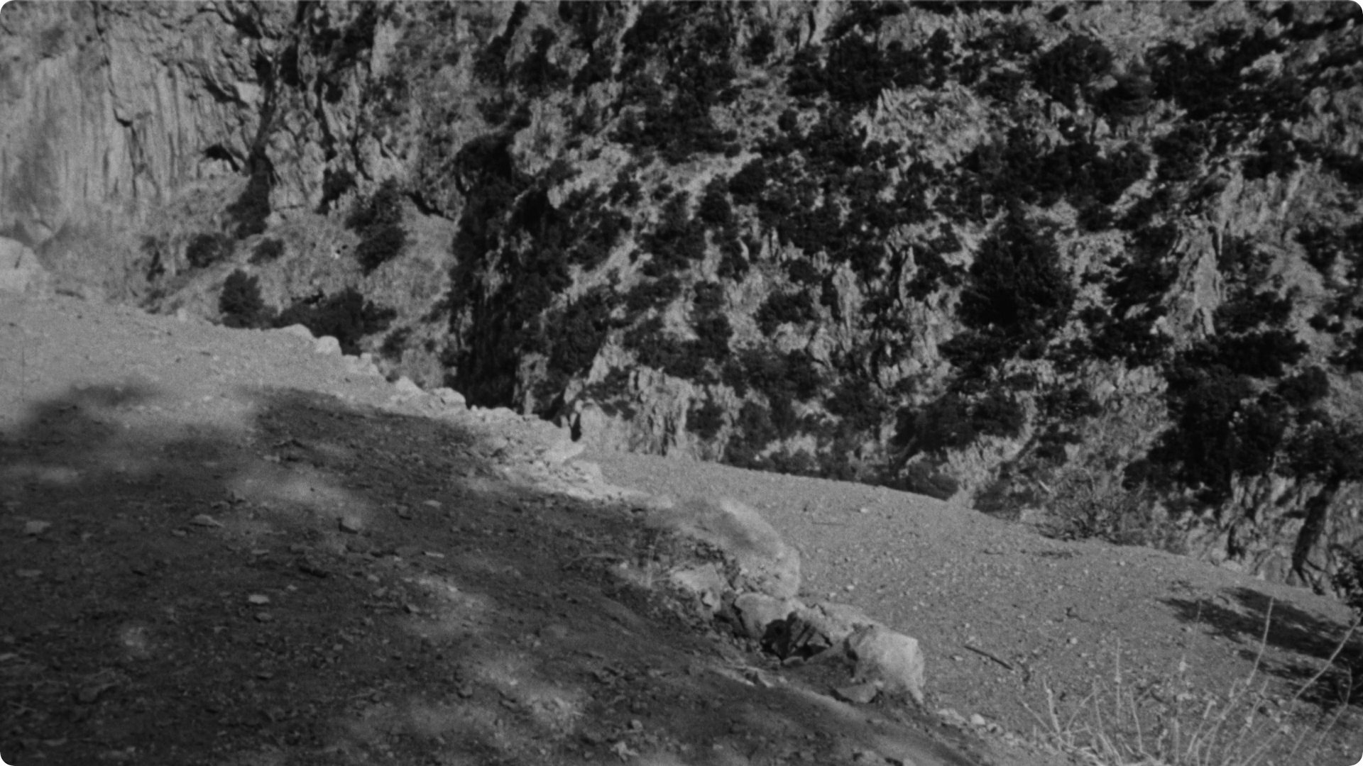 美国，美国剧照的剧照