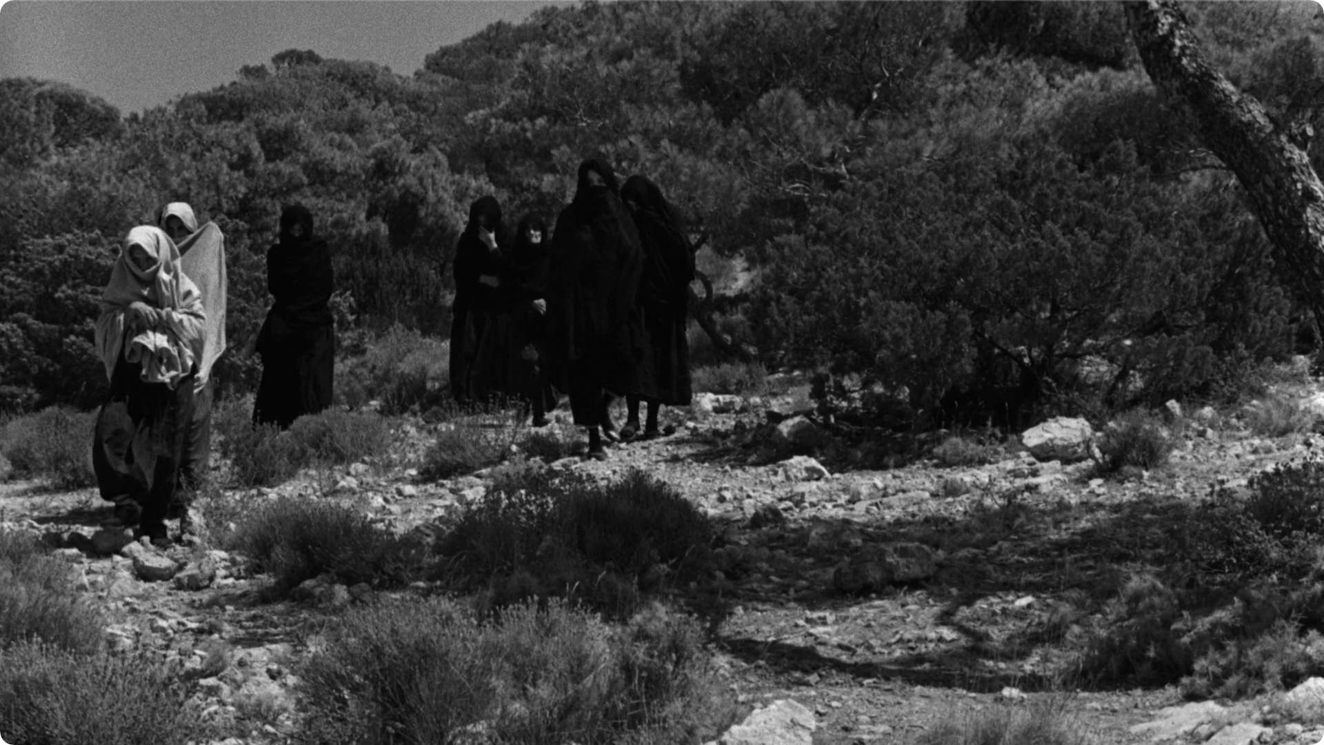 美国，美国剧照的剧照