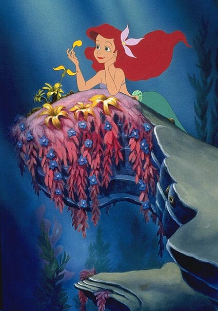 小美人鱼剧照的剧照