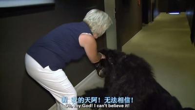 蠢蛋搞怪秀剧照的剧照