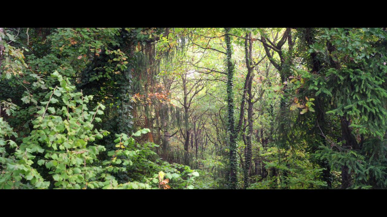 修复生命剧照的剧照