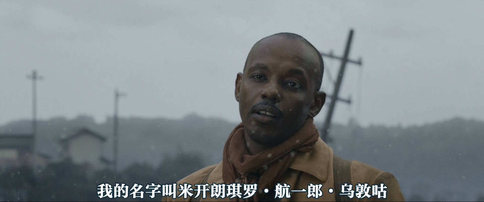 迎风而立的狮子剧照的剧照