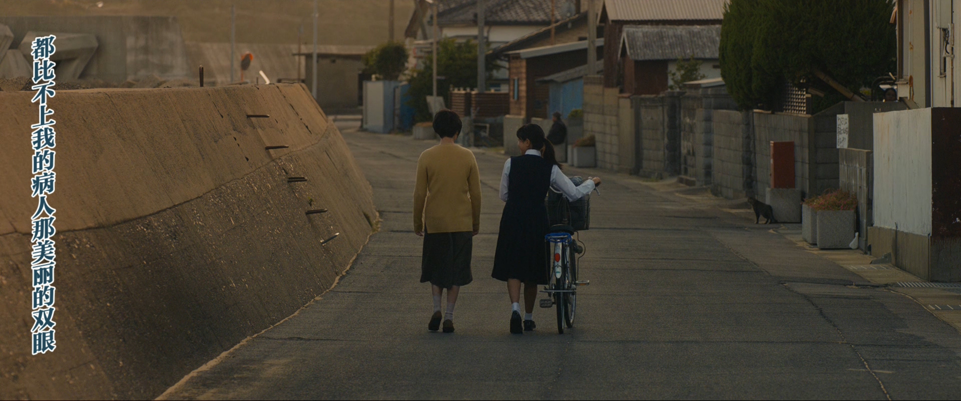 迎风而立的狮子剧照的剧照