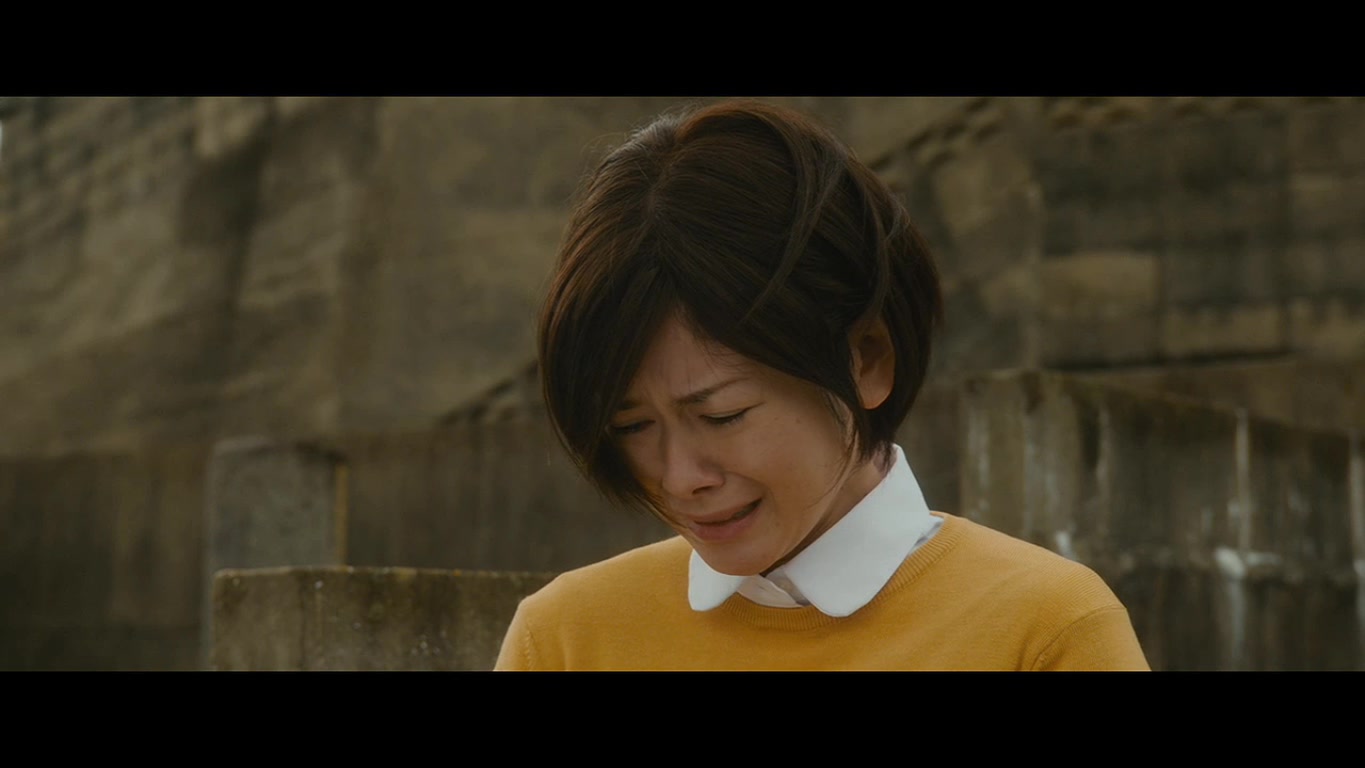 迎风而立的狮子剧照的剧照