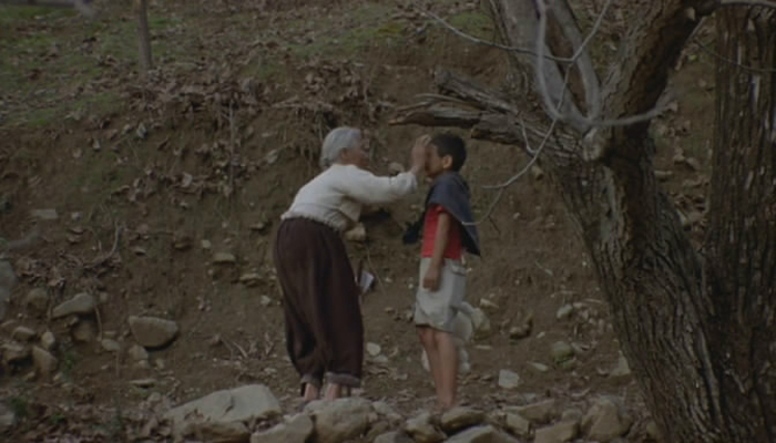 爱·回家剧照的剧照