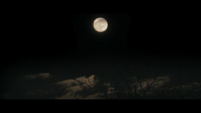 贩毒之地剧照的剧照