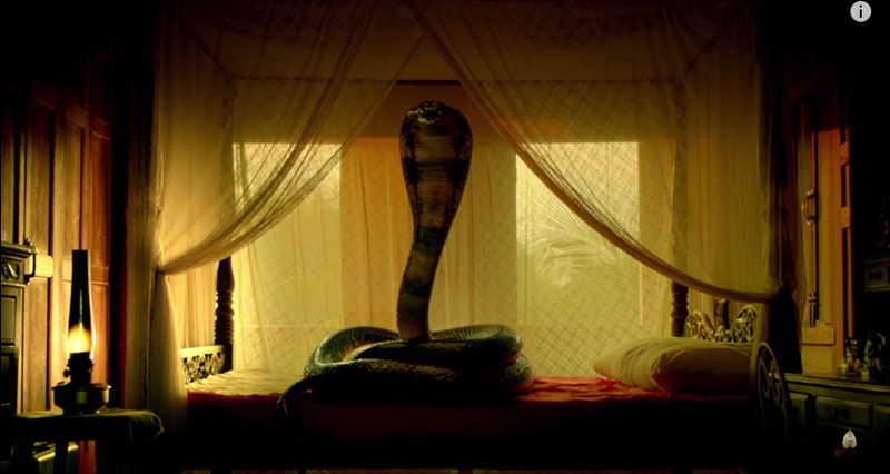 灵蛇爱剧照的剧照