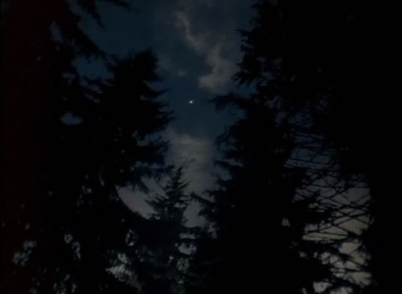 西伯利亚之歌剧照的剧照