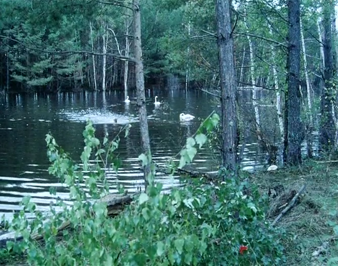 西伯利亚之歌剧照的剧照