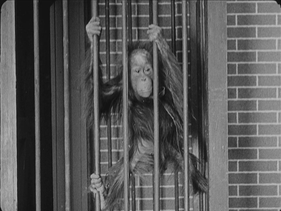 剧院剧照的剧照