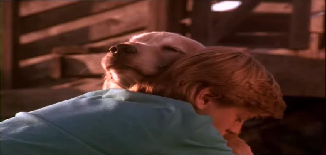 看狗在说话剧照的剧照