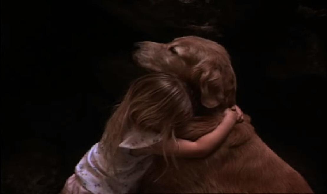 看狗在说话剧照的剧照