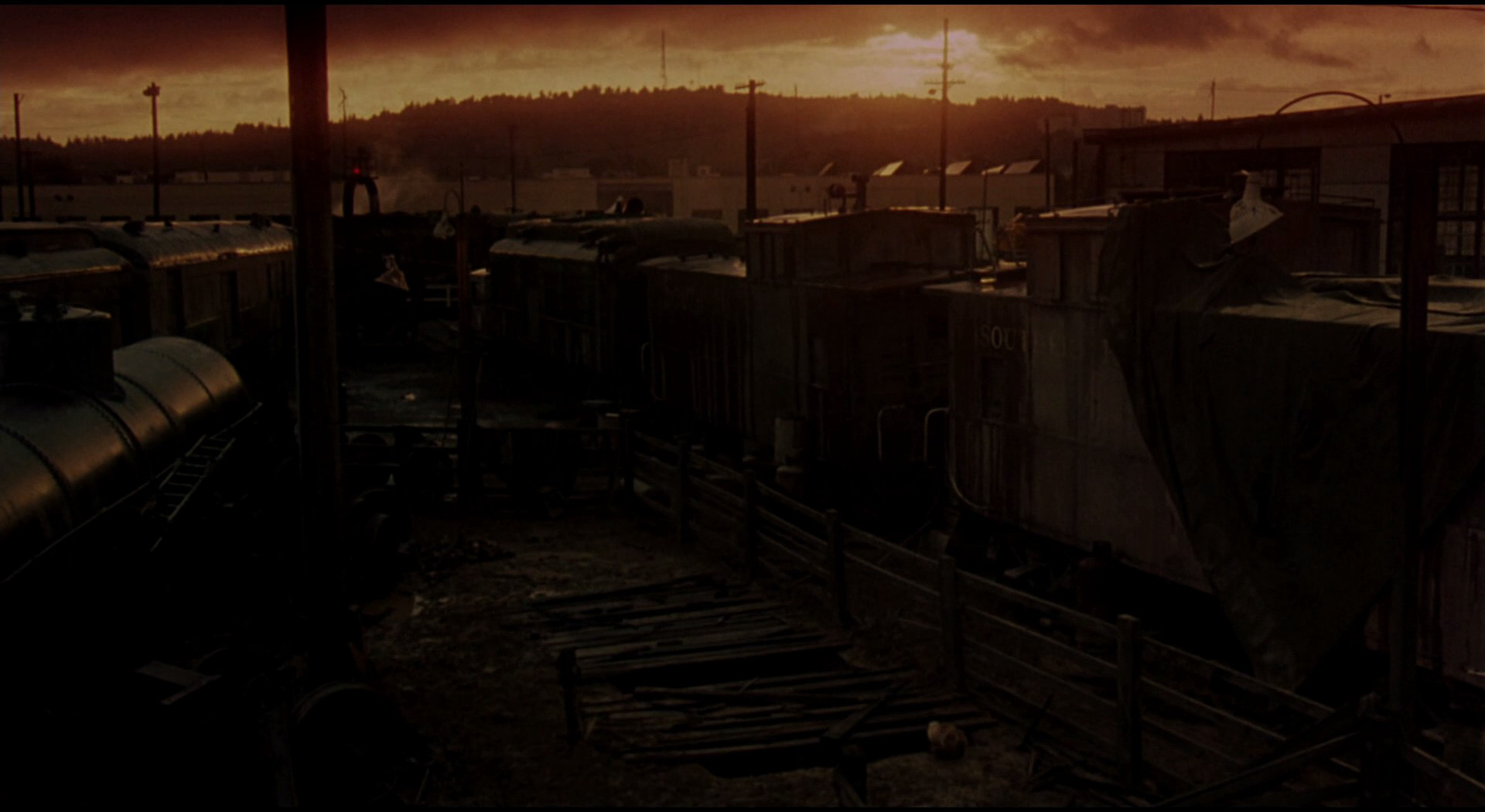 看狗在说话剧照的剧照