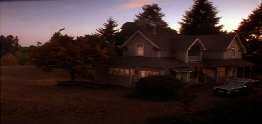 看狗在说话剧照的剧照