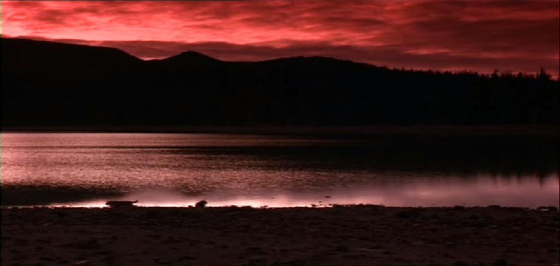 看狗在说话剧照的剧照