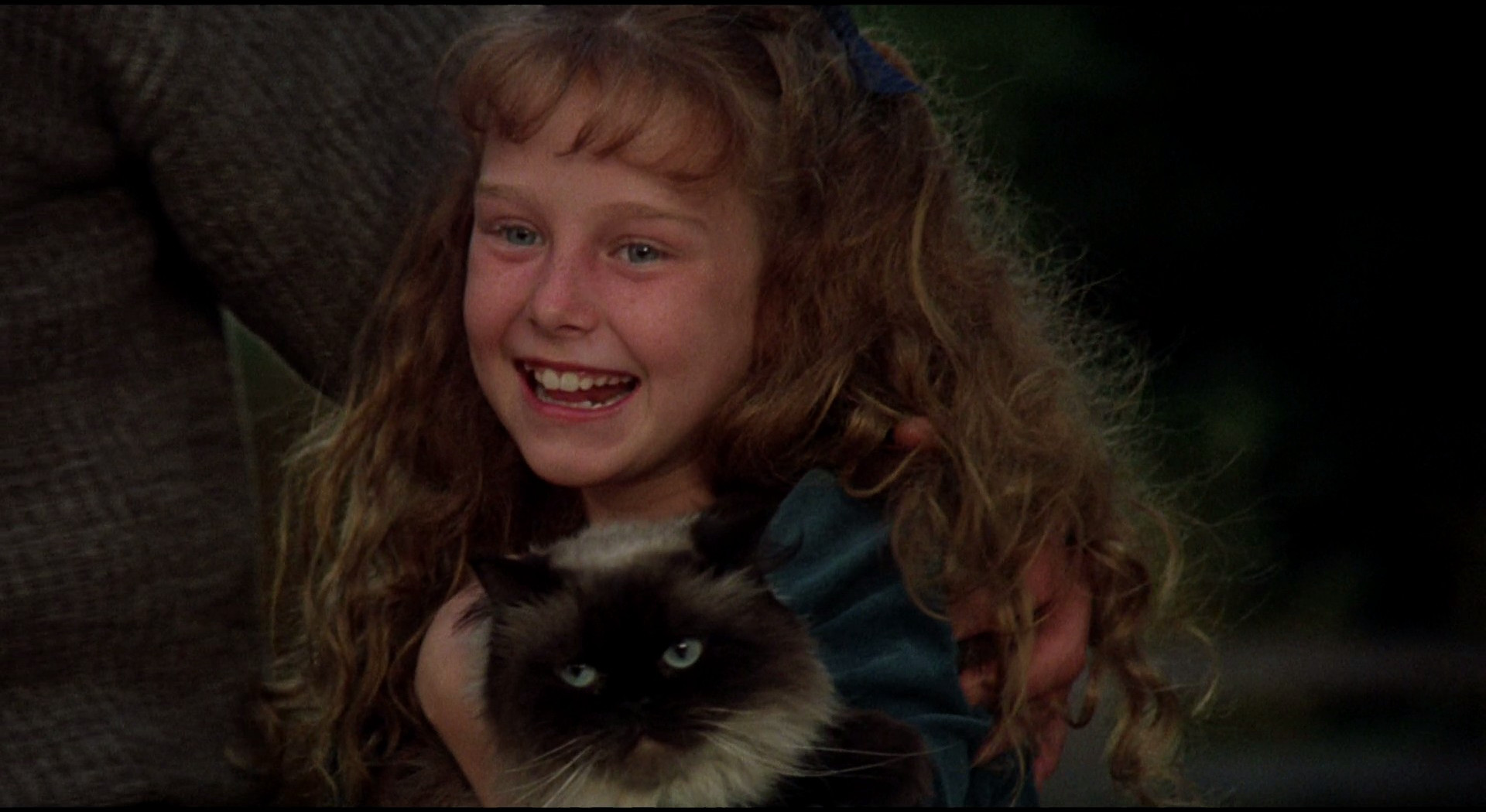 看狗在说话剧照的剧照