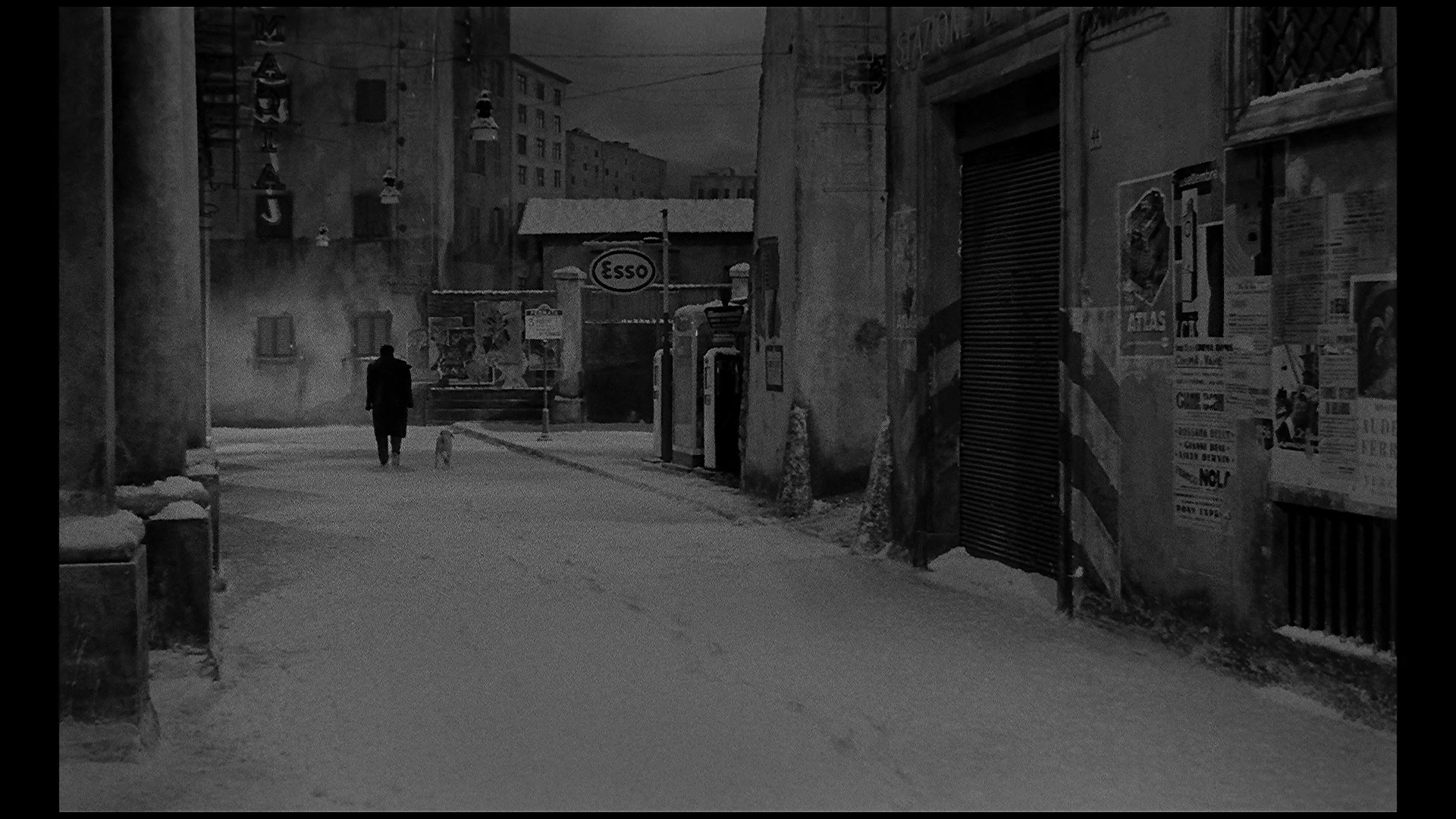 白夜剧照的剧照