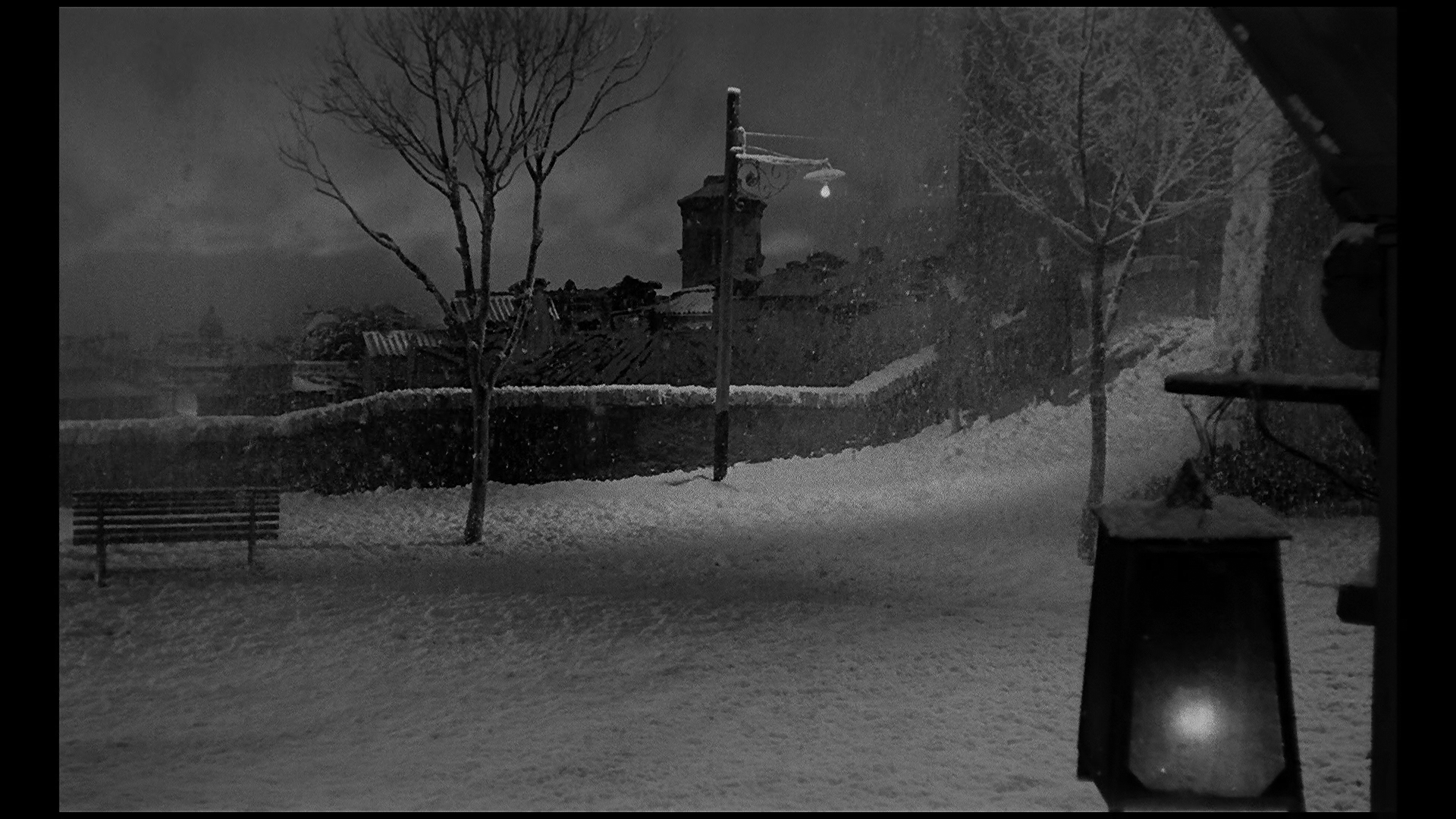 白夜剧照的剧照