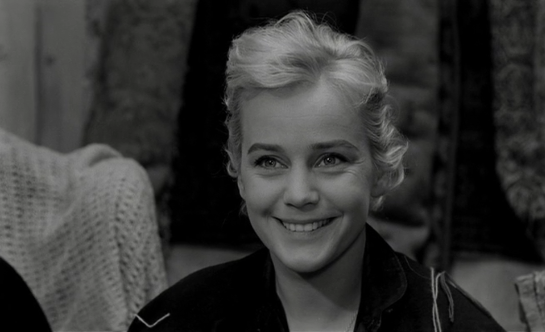 白夜剧照的剧照