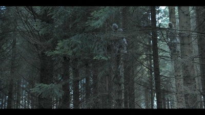 黑森灵剧照的剧照