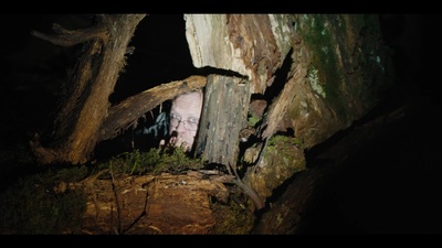 黑森灵剧照的剧照