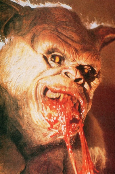 地窖居住者剧照的剧照