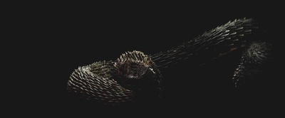 泰勒·斯威夫特：“举世盛名”巡回演唱会剧照的剧照