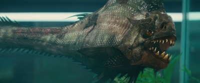 食人鱼3D剧照的剧照