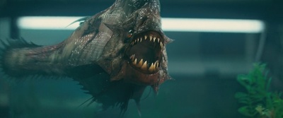 食人鱼3D剧照的剧照