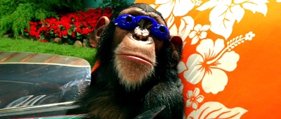 极速赛车手剧照的剧照