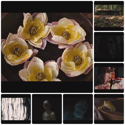 林中小屋剧照的剧照