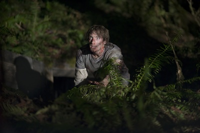 林中小屋剧照的剧照