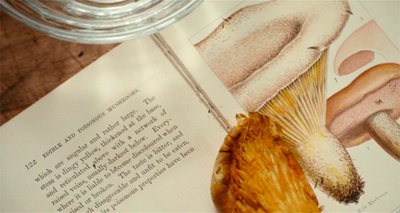 魅影缝匠剧照的剧照