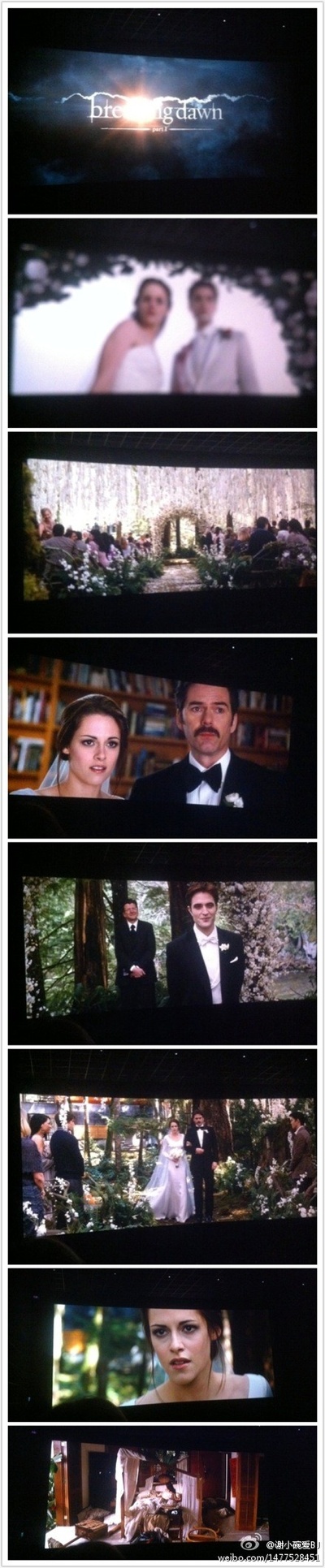 暮光之城4：破晓(上)剧照的剧照