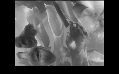 他人之颜剧照的剧照