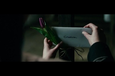 蜂鸟特攻剧照的剧照