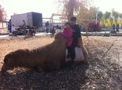 翅膀花剧照的剧照