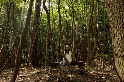 吉高由里子 in 濑户内剧照的剧照