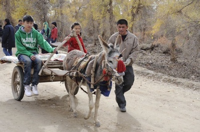 胡杨深处是我家剧照的剧照